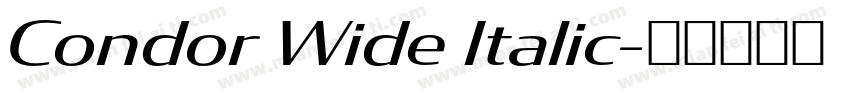 Condor Wide Italic字体转换